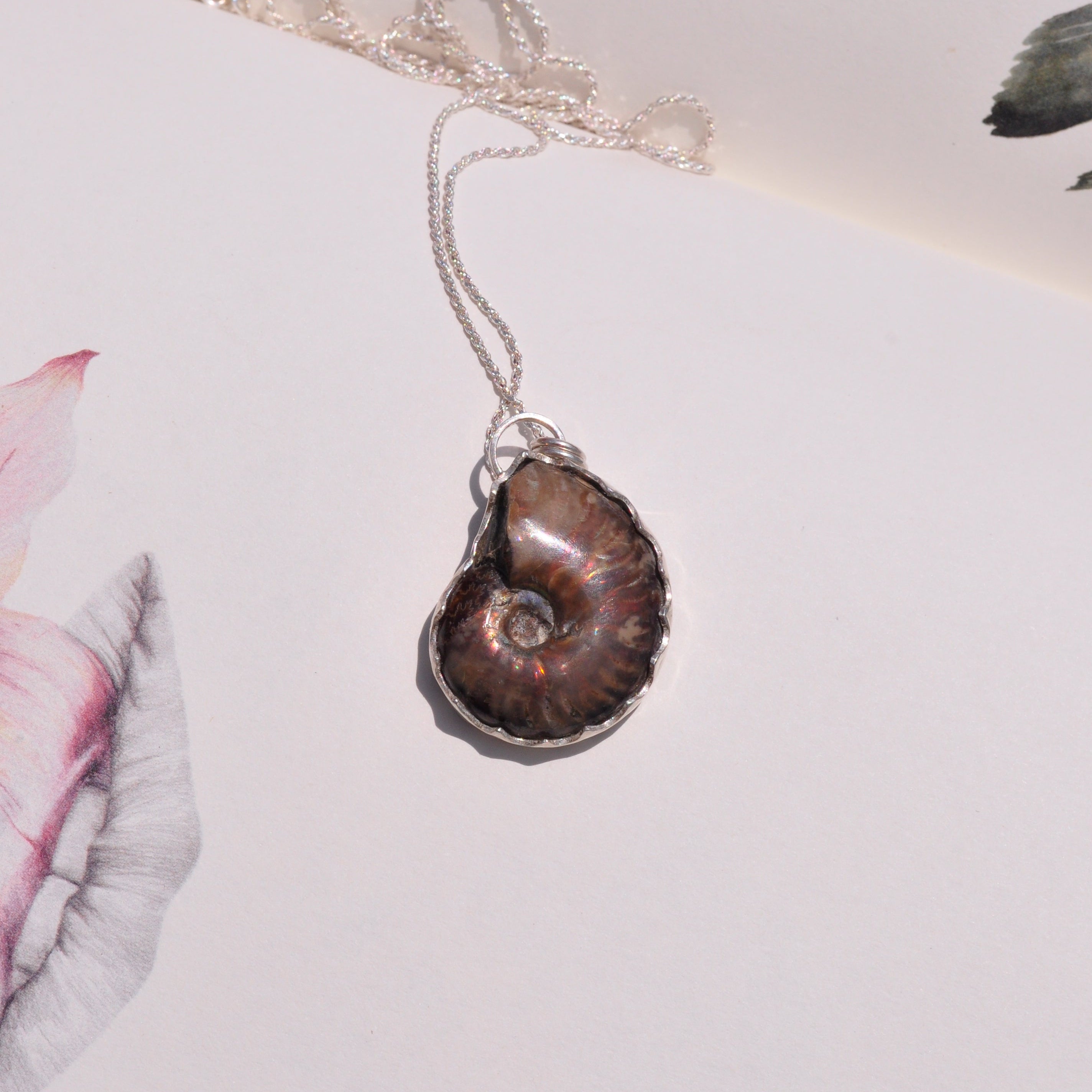 Collar fosil ammonita opalizada