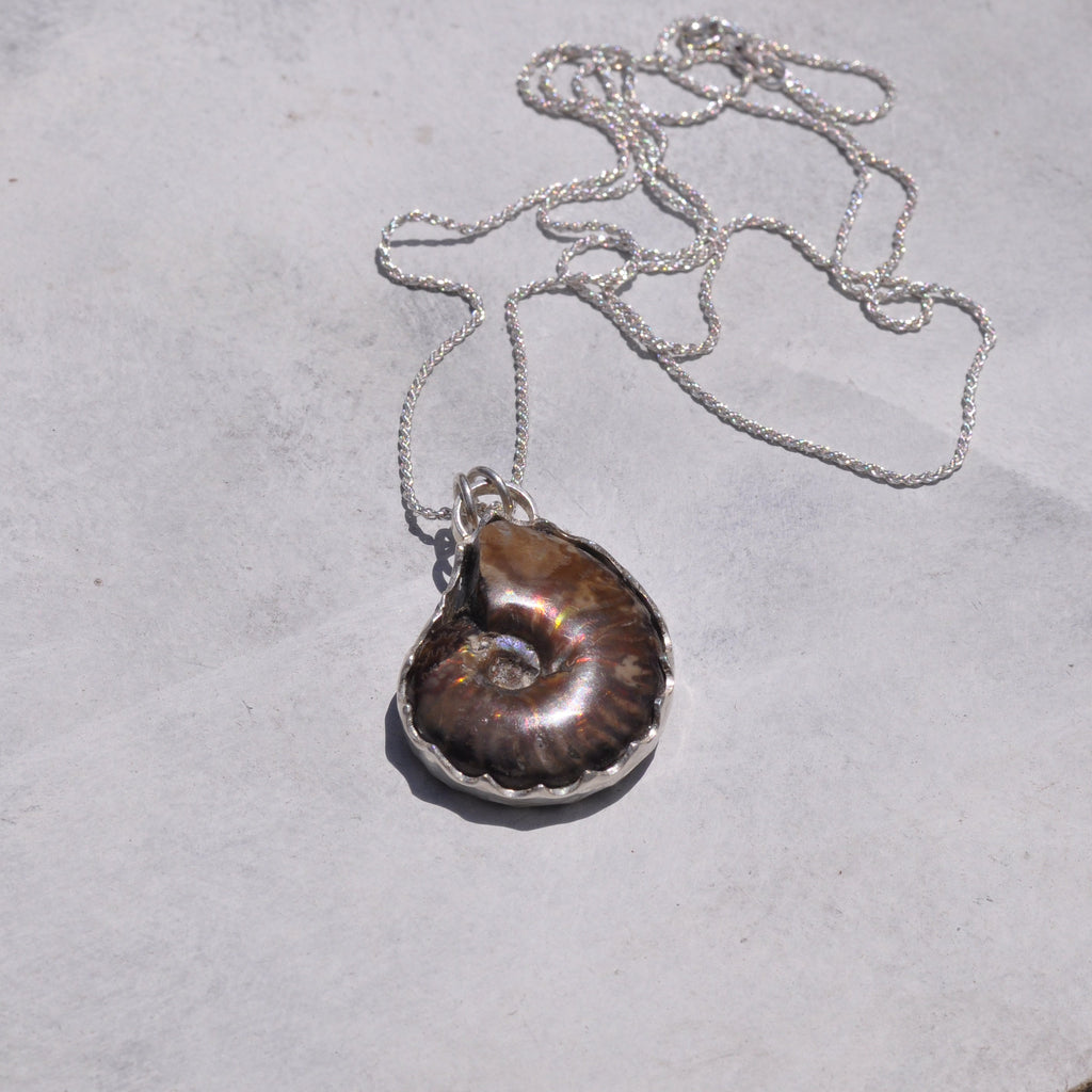 Collar fosil ammonita opalizada