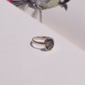 Anillo Abulon Talla 5